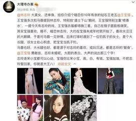 马蓉爆料林志玲视频,真相背后引热议 第3张 马蓉爆料林志玲视频,真相背后引热议 第3张