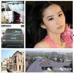 娱乐圈深度爆料第四,第四代明星崛起背后的秘密与风云 第3张 娱乐圈深度爆料第四,第四代明星崛起背后的秘密与风云 第3张